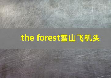 the forest雪山飞机头